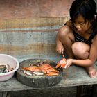 Girl cutting fish for dinner