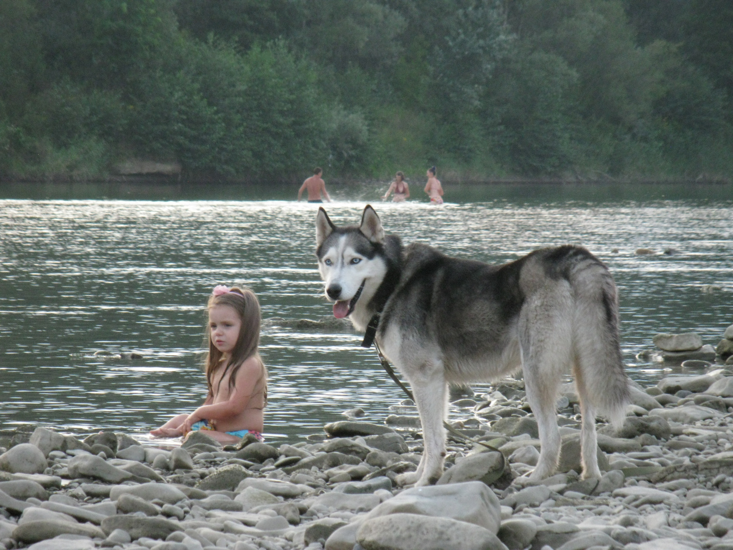 girl & dog