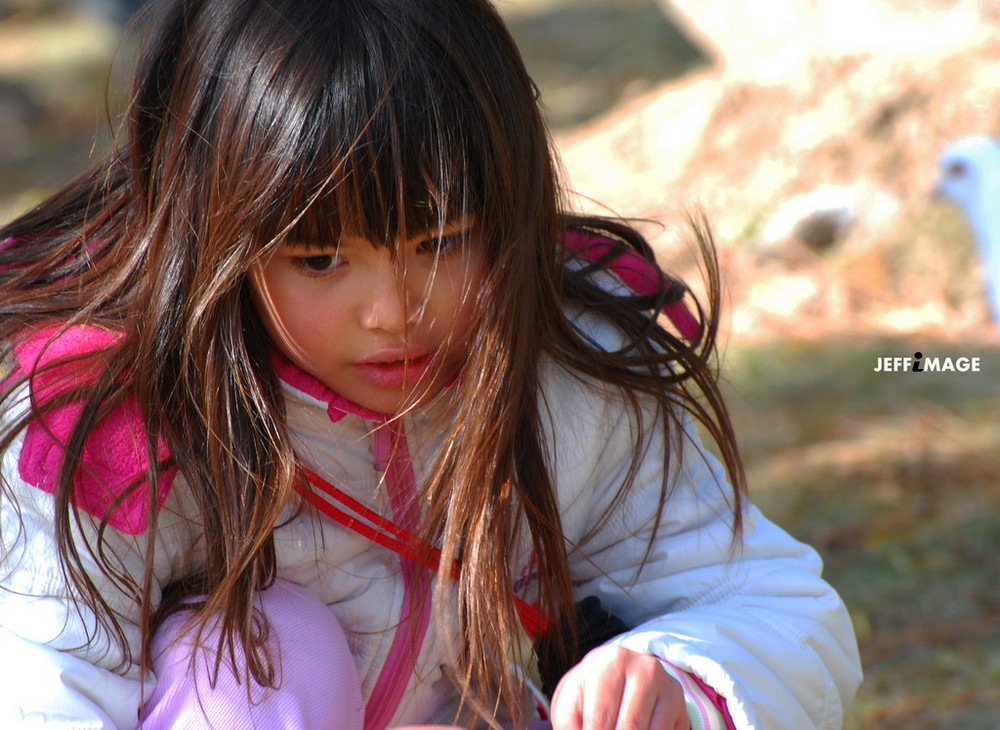 girl feeding a dove