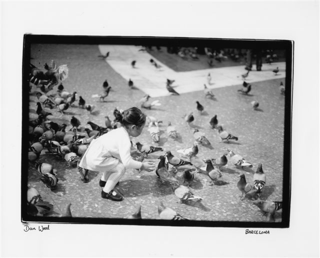 Girl feeding birds