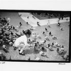 Girl feeding birds