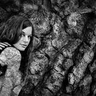 girl in a tree