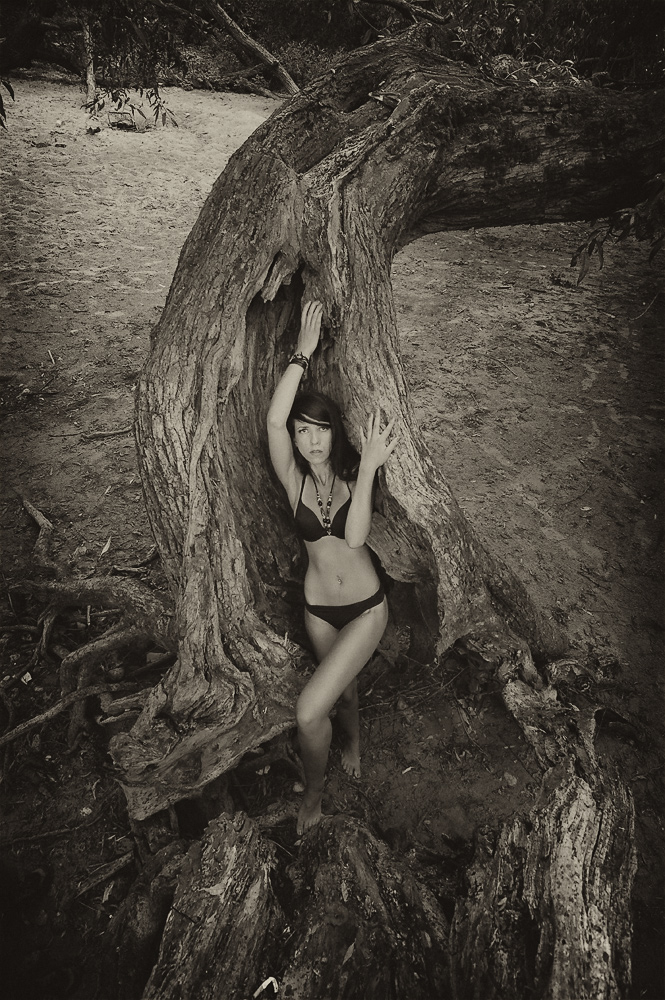 girl in a tree