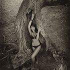 girl in a tree