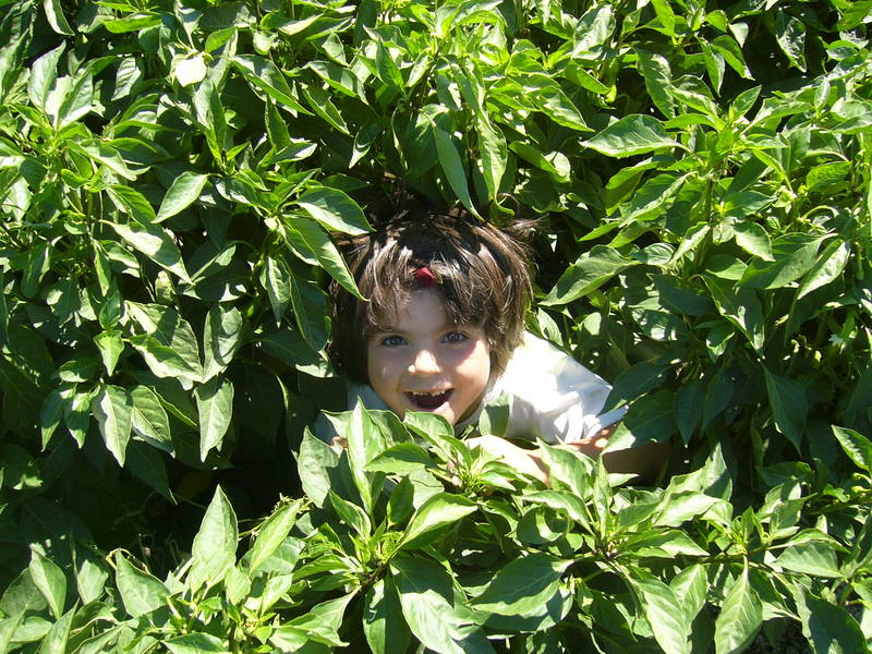 Girl in between peppers