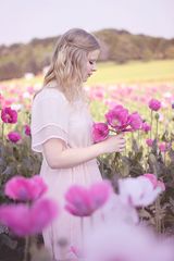 girl in the poppy field