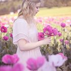 girl in the poppy field