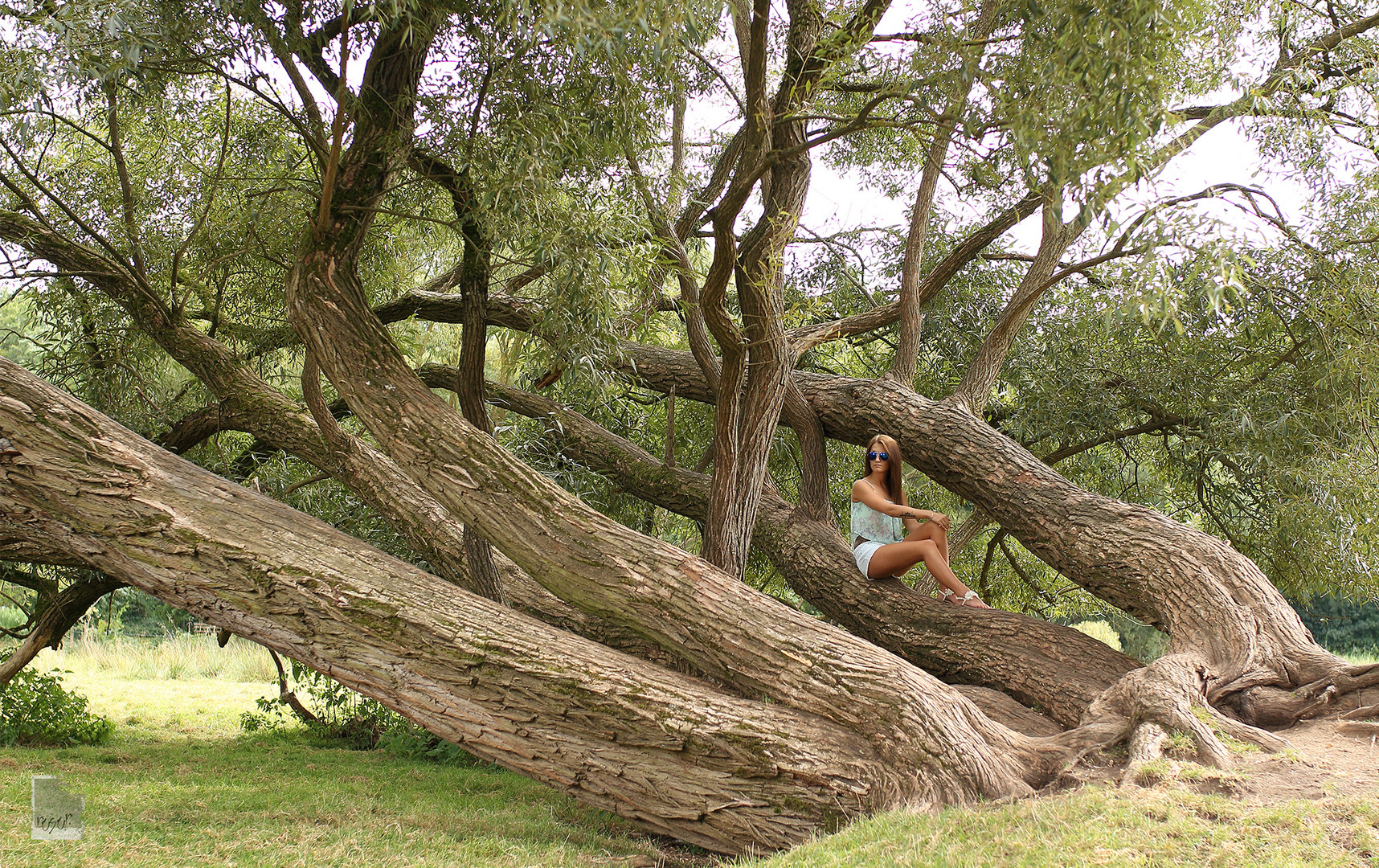 Girl in the Tree