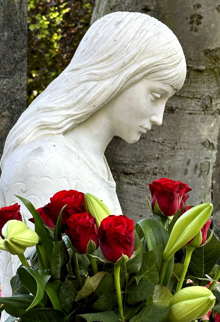 Girl With Red Roses