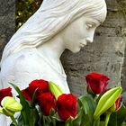 Girl With Red Roses