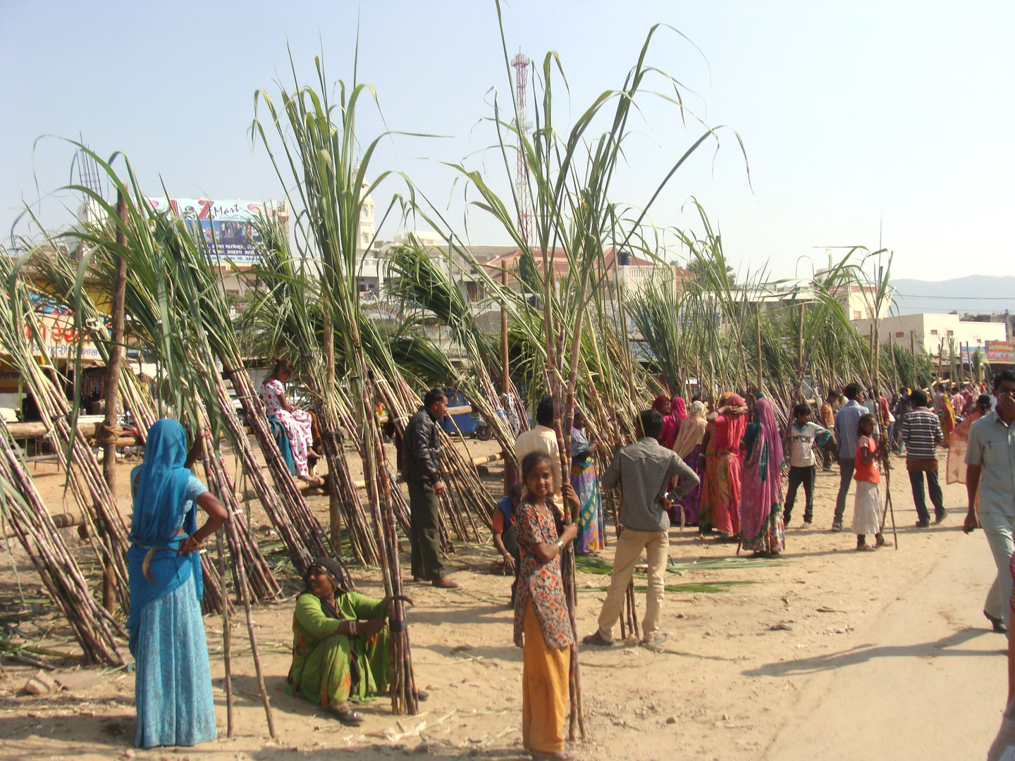 Girl with Sugarcane