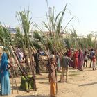 Girl with Sugarcane