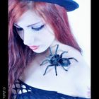 Girl with tarantula
