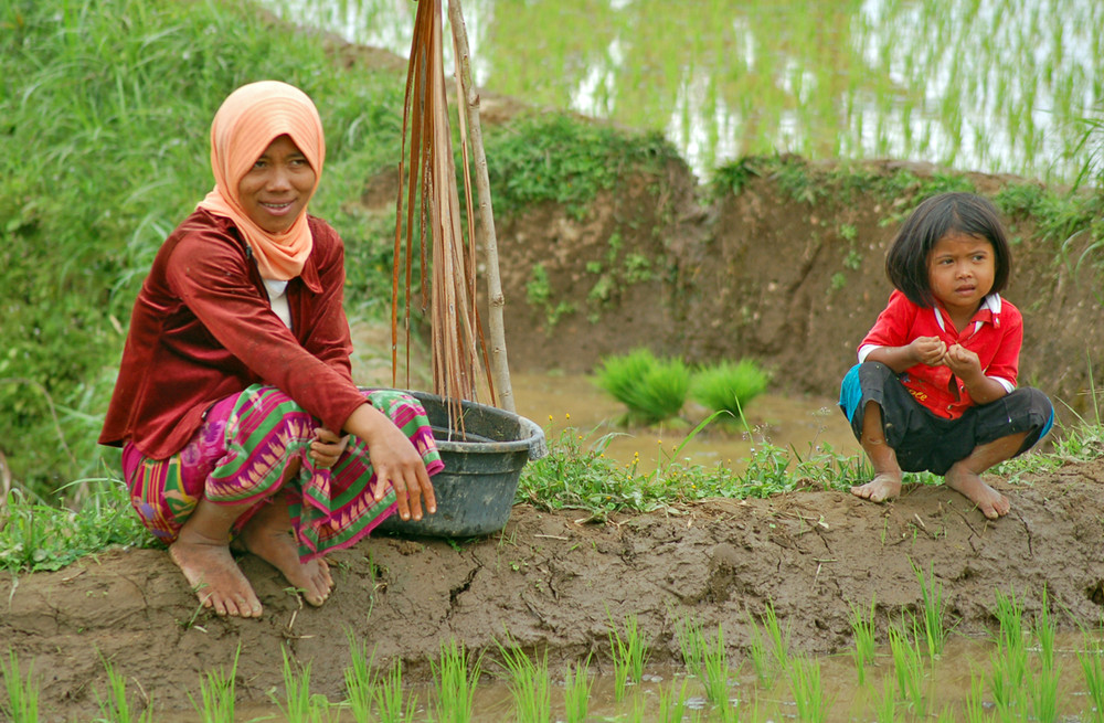 Girls on Ricefields