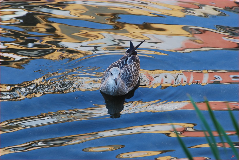 Girona-Spiegelungen # Reflejos de Girona III