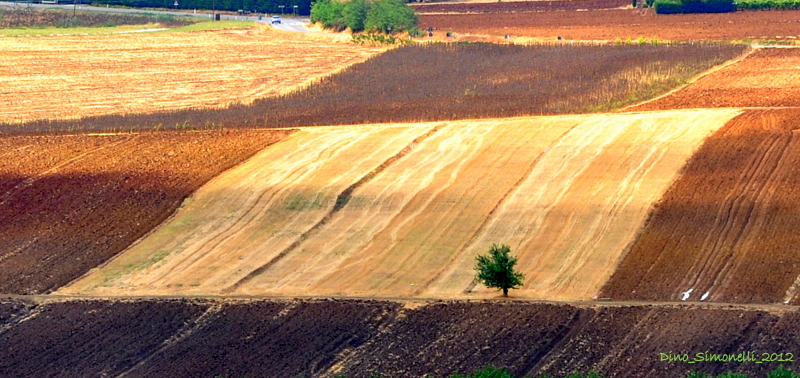 girovagando nelle campagne toscane