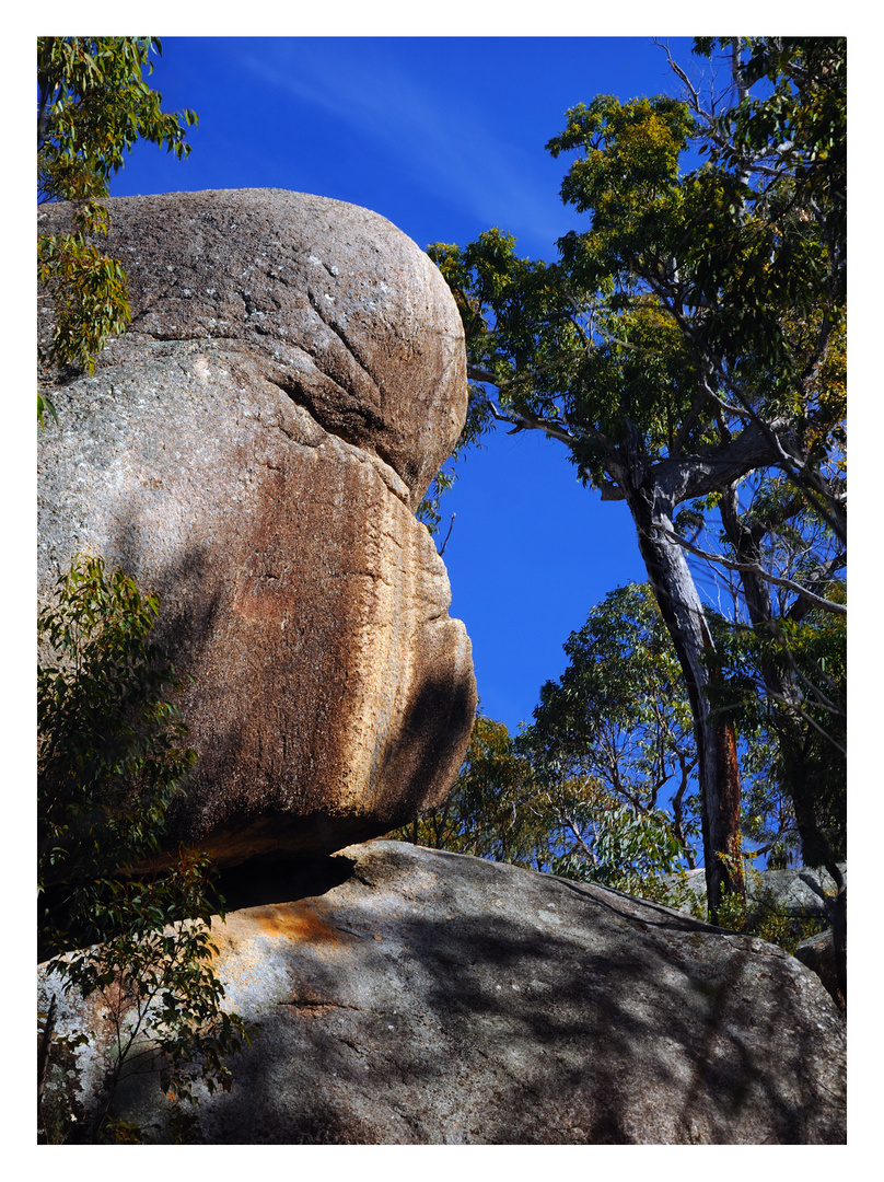 Girraween NP