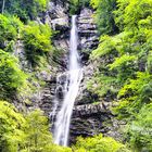 Gisbachfall