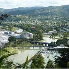 Gisborne