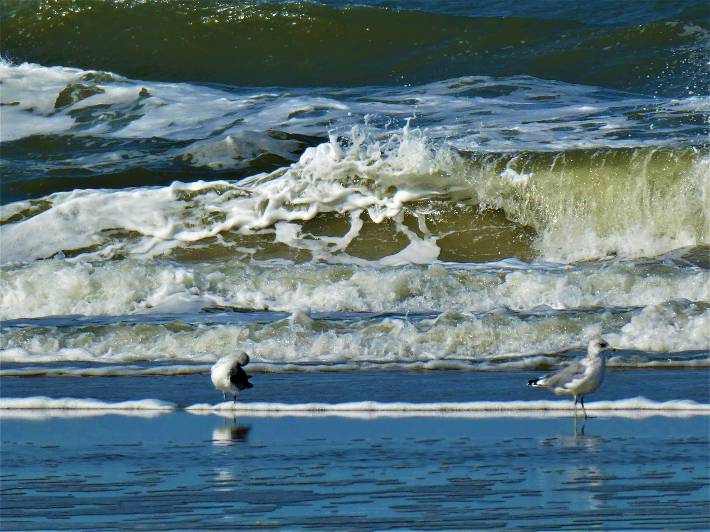 Gischt. Eine Nordsee-Miniatur. Spiekeroog 2020