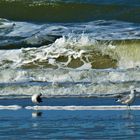 Gischt. Eine Nordsee-Miniatur. Spiekeroog 2020