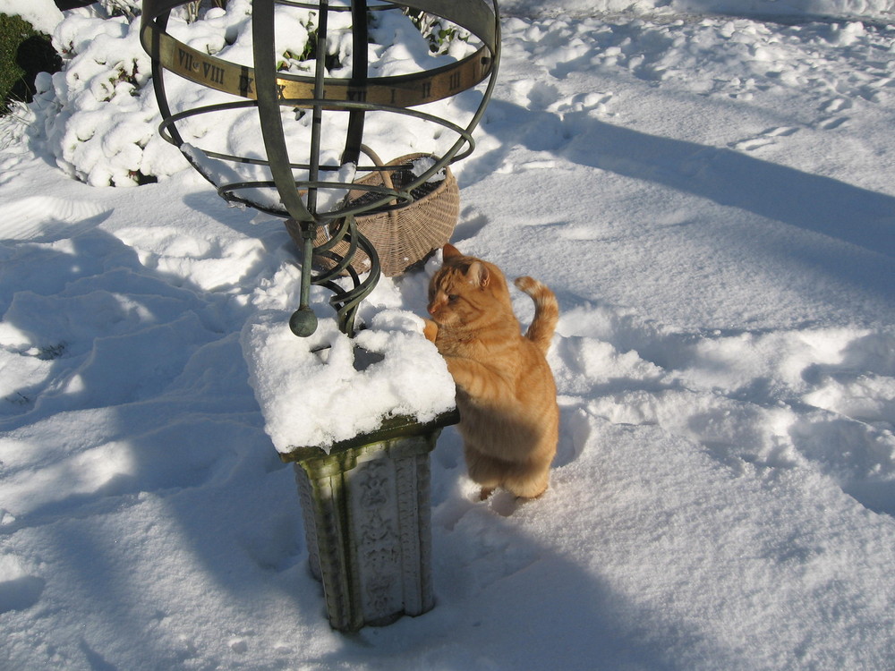 Gismo mit Sonnenuhr im Schnee