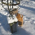 Gismo mit Sonnenuhr im Schnee