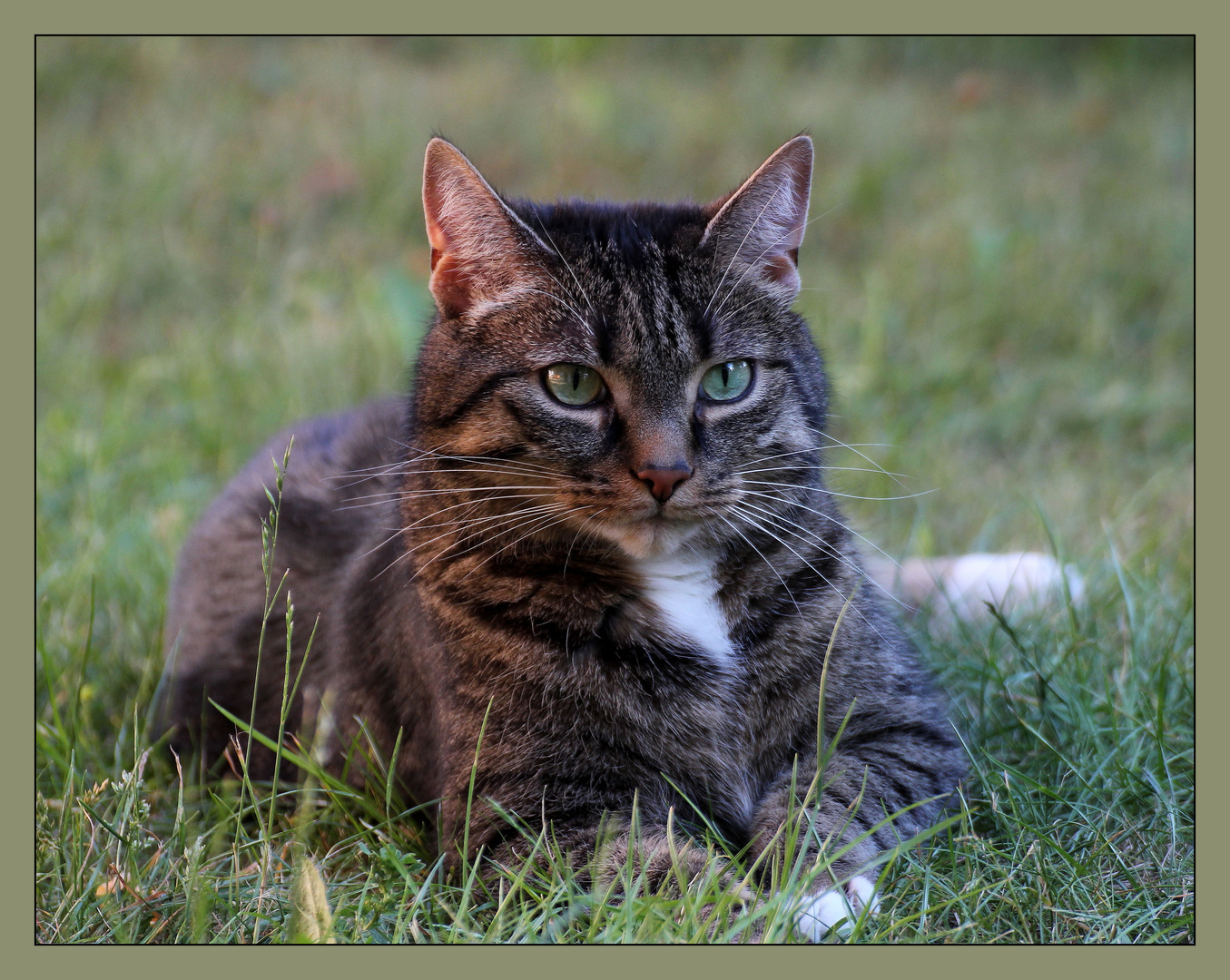 Gismo relaxed mal wieder