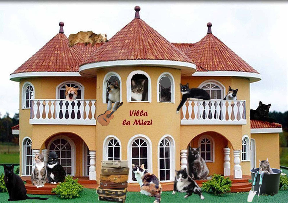 GISMO schaut auch in der "Villa la Miezi" vorbei