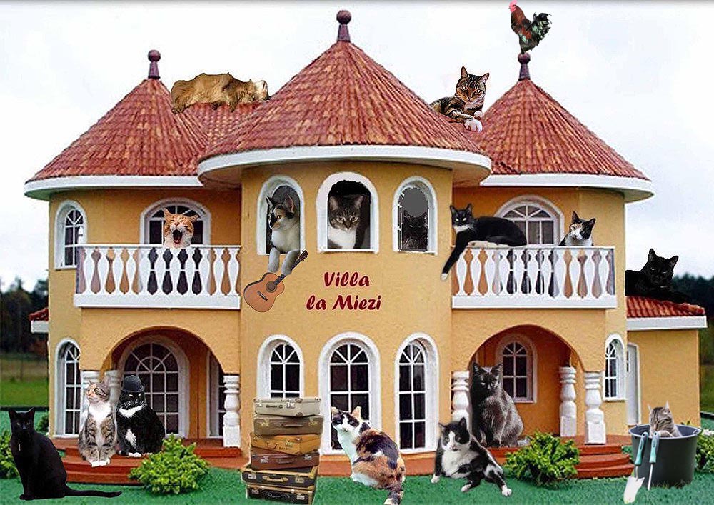 GISMO zieht in die "Villa la Miezi" ein....