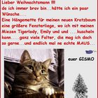 Gismo´s Wunschzettel