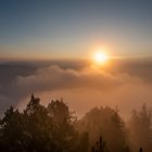 Giswilerstock,Sonnenaufgang,Nebel,OW-114