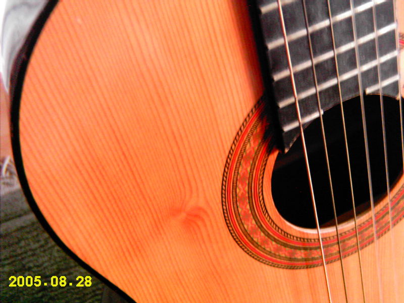 Gitarre im Detail