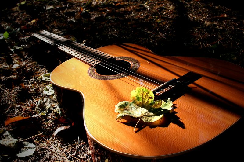 Gitarre im Herbst