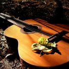 Gitarre im Herbst