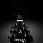 Gitarre mit Fisheye