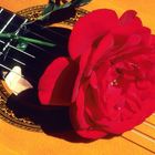 Gitarre und Rose