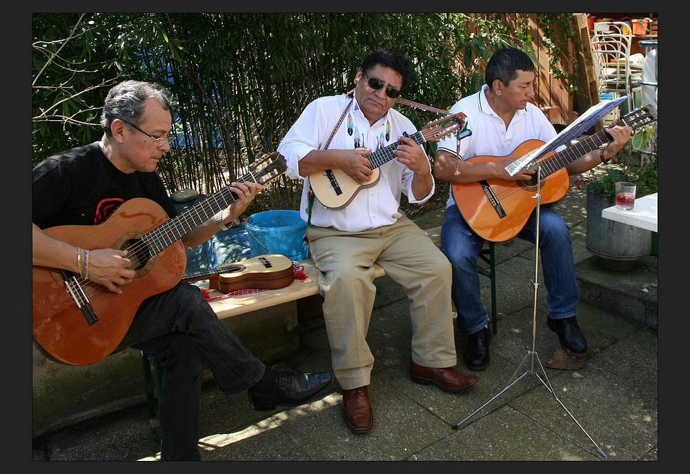 gitarren und charangos