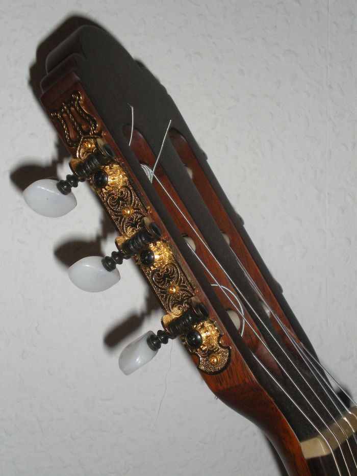 Gitarrenhals