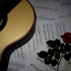 Gitarrenrose.