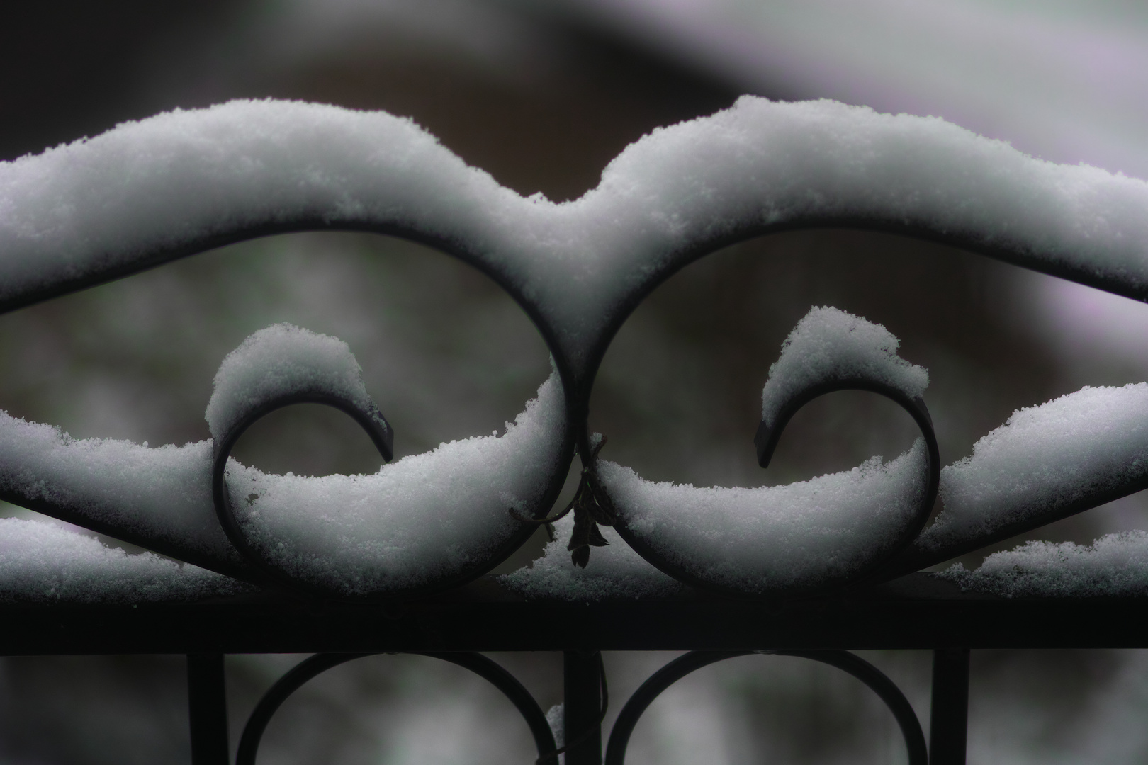 Gitter im Schnee