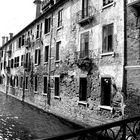 Giudecca