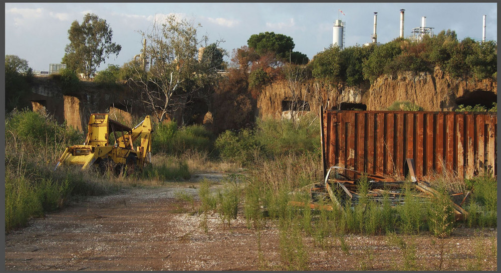 GIUNGLA INDUSTRIALE