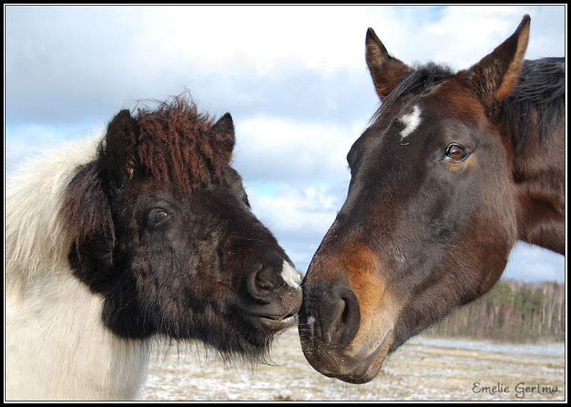 Give me a kiss, please?