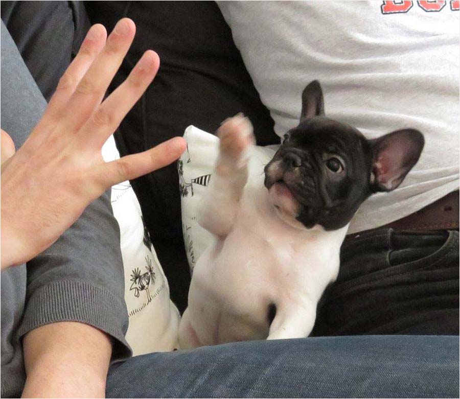 Give me Five