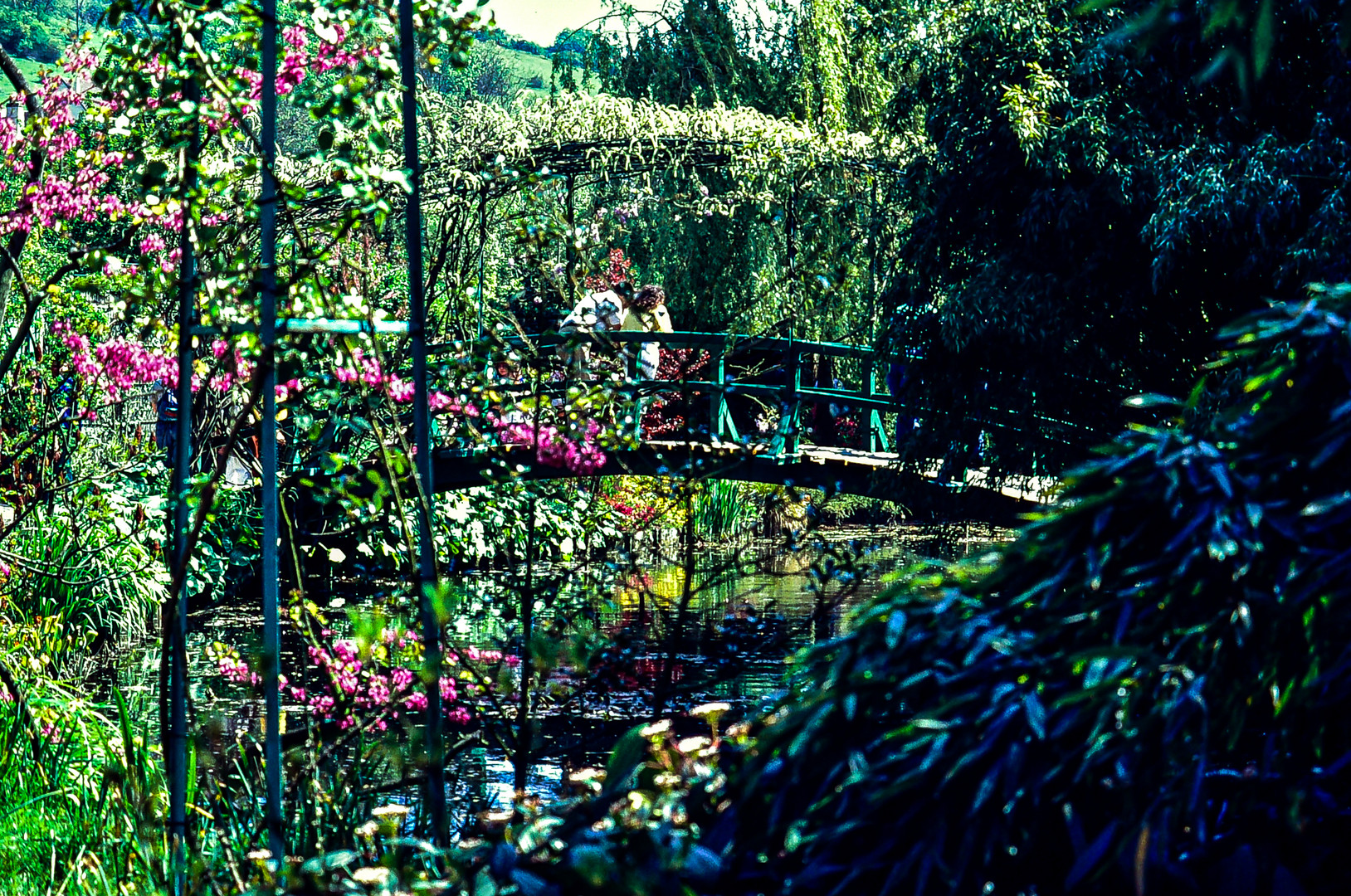 Giverny.    ..120_1223