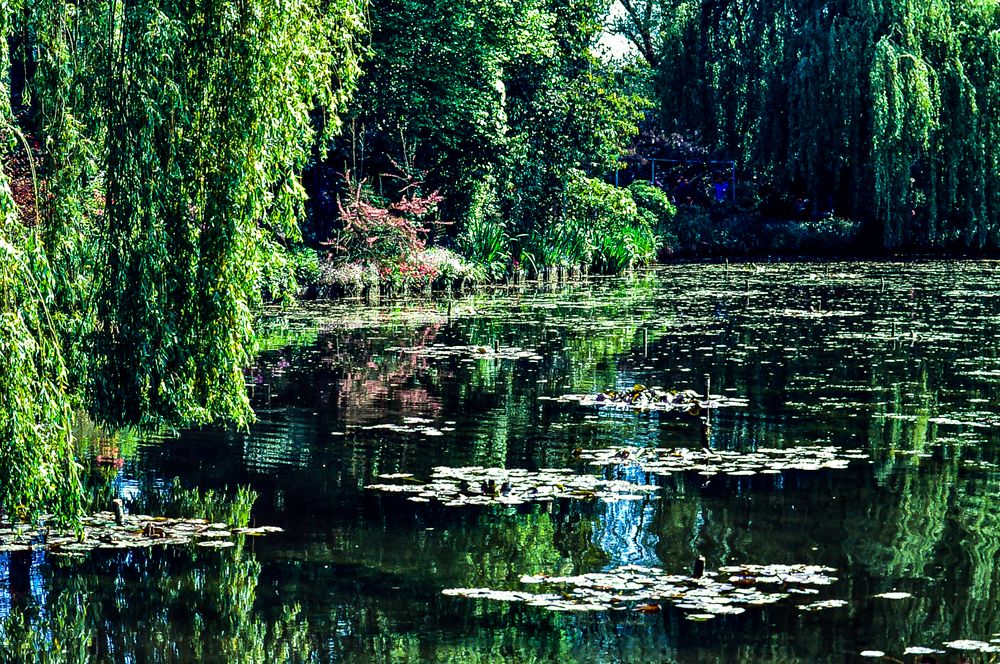 Giverny,            ..120_1228