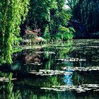 Giverny,            ..120_1228