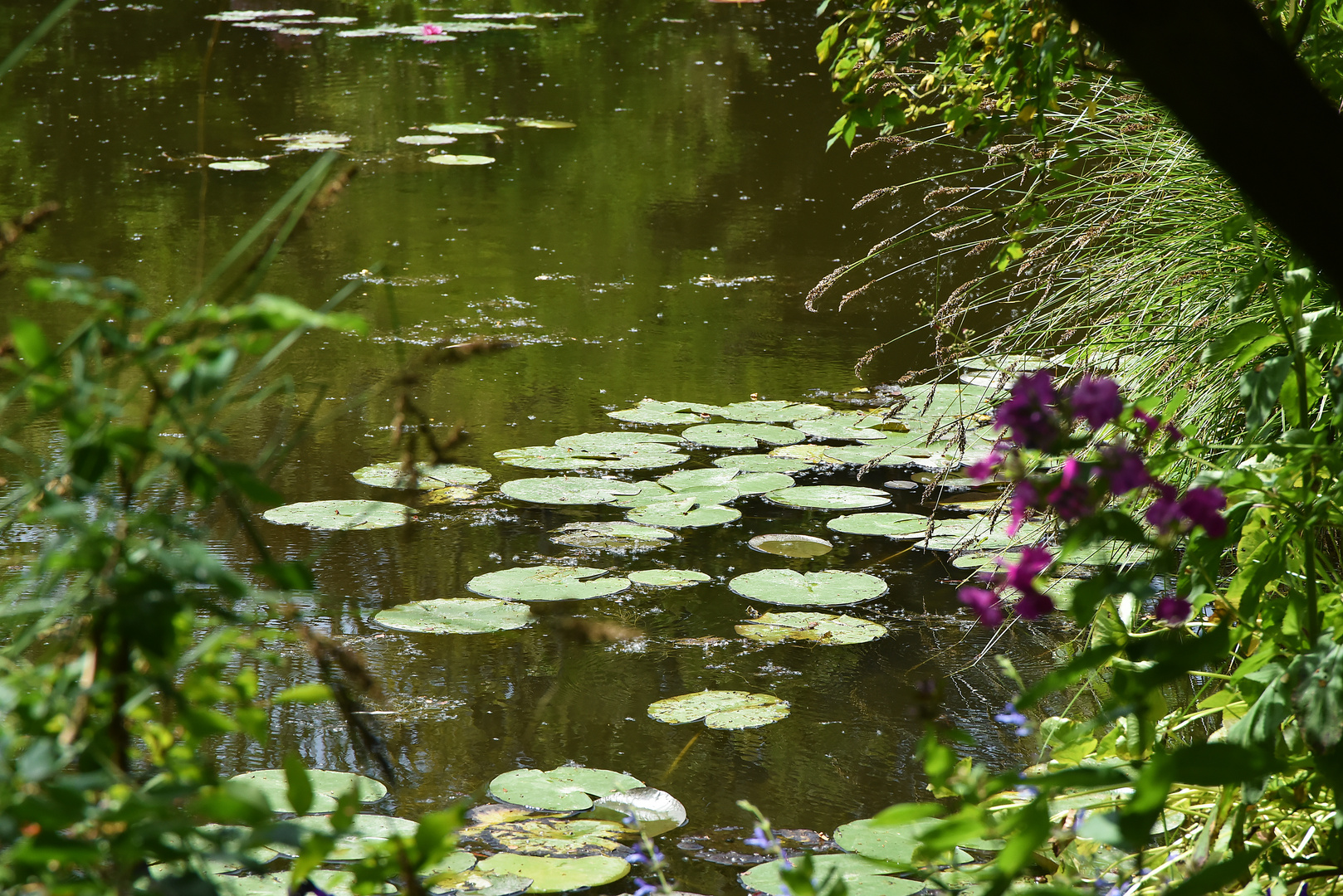 Giverny 125R