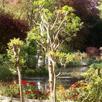 Giverny-6